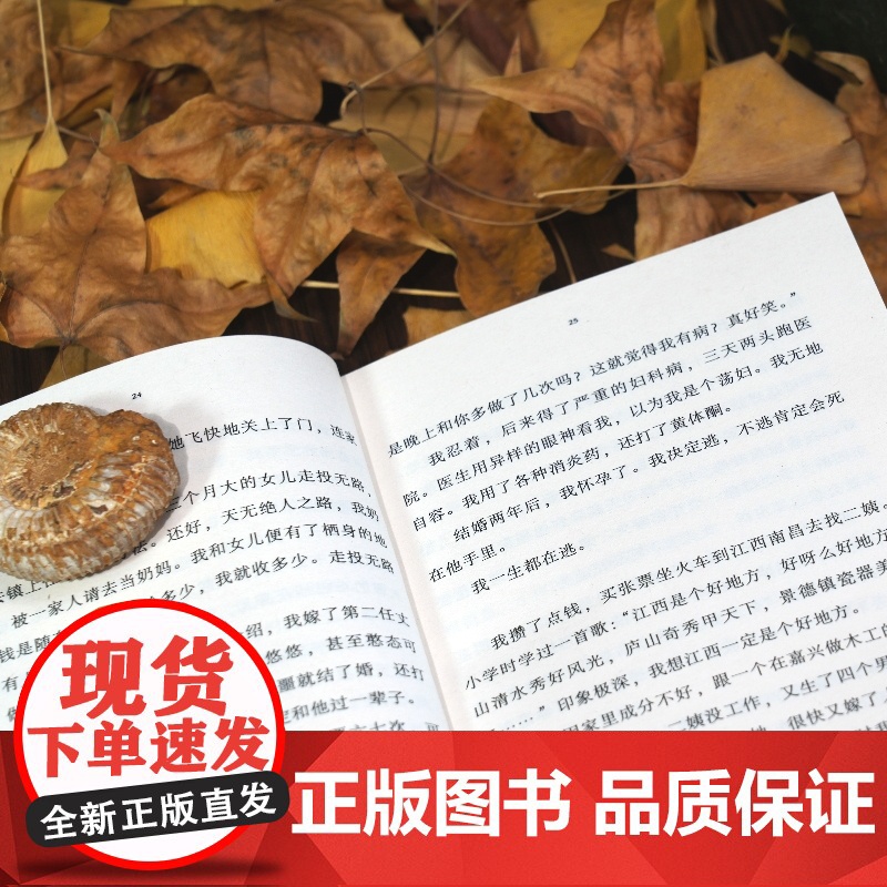 [央视网]豆子芝麻茶 她看见女性 讲述生死 凝视伤痛 倾听孤独 记录平凡 传递爱 记忆与能量 写尽中国女性的挣扎与力量高清大图