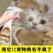 宠物除臭剂猫砂除臭猫狗仓鼠兔子去尿味喷雾除味剂抑菌可拖地室内 根源消臭增香1瓶【试用装】