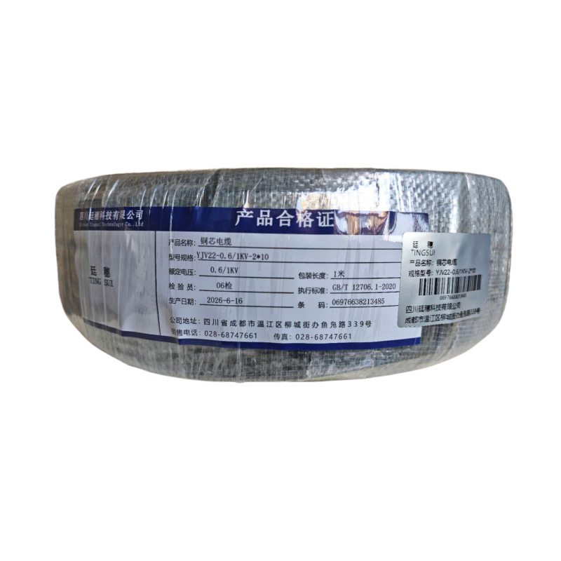 廷穗(TINGSUI)铜芯电缆YJV22-0.6/1KV-2*10 米