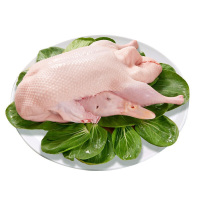 【顺丰发货】冷冻新鲜白条鸭2只 单重约2斤 新鲜鸭子 整鸭肉【损毁包赔】