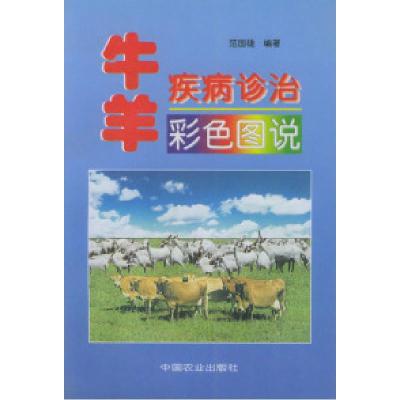 11牛羊疾病诊治彩色图说978710905196622