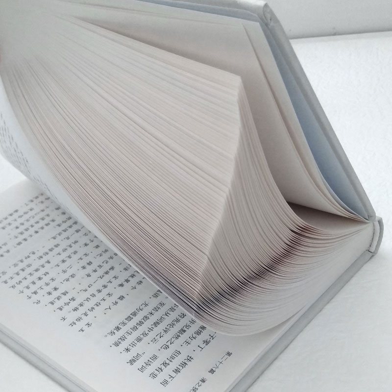 [正版]中国小说史略 鲁迅重要代表作 中国小说史开山之作 文学青年重点装备 民国国学大师胡适盛赞 精装珍藏本高清大图