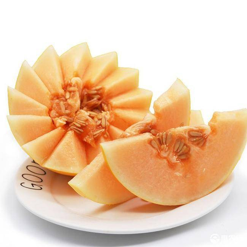 [熊猫鸟]新鲜黄河蜜瓜 净重4斤 2-4个 应季水果 新鲜甜瓜 鲜果高清大图