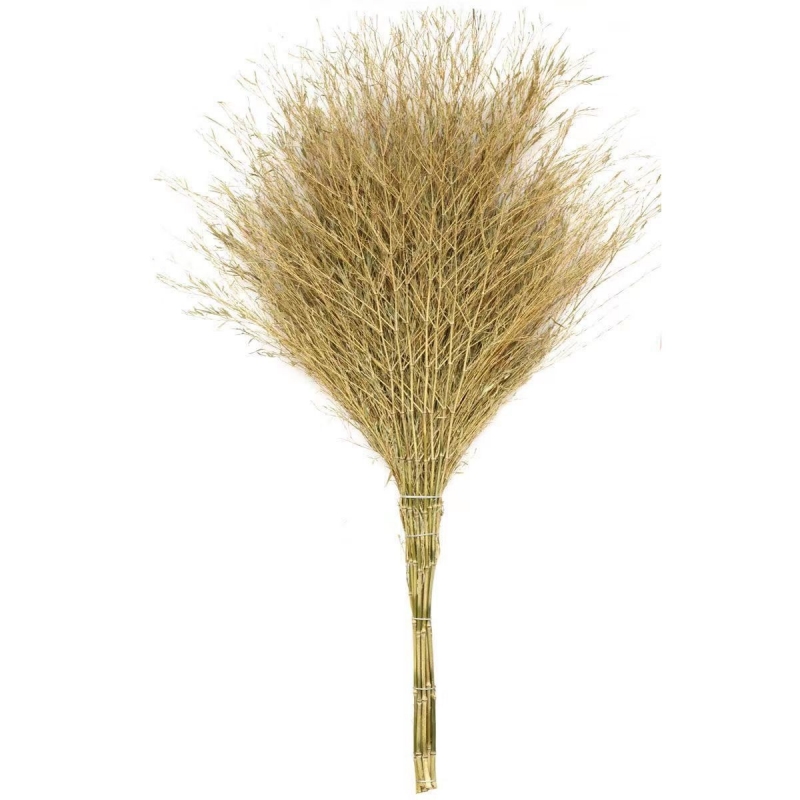 礼千初 扫地笤帚