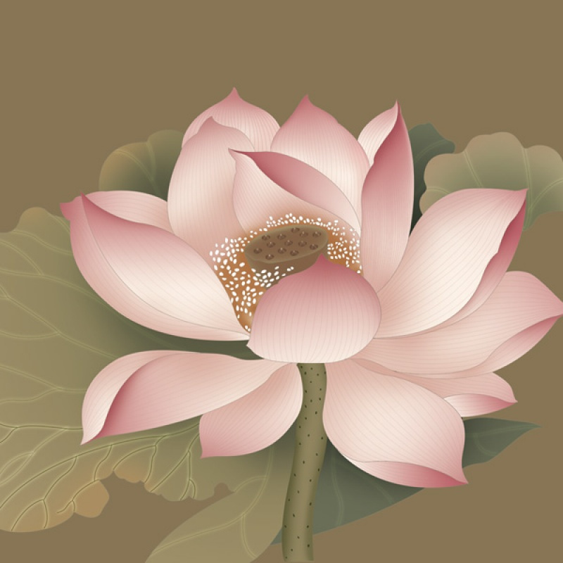 壁画国画工笔荷花艺术壁纸无纺布电视背景墙纸中式大型壁画壹德壹