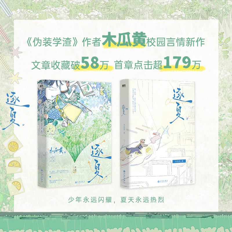 [专享赠品 全2册]逐夏.12 [正版]专享赠品逐夏 小说 木瓜黄 特殊人格朝俞这题超纲了伪装学渣 青春文学校园实体高清大图