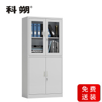 科朔 文件柜铁皮柜资料柜办公室柜子档案柜带锁 KS-G032