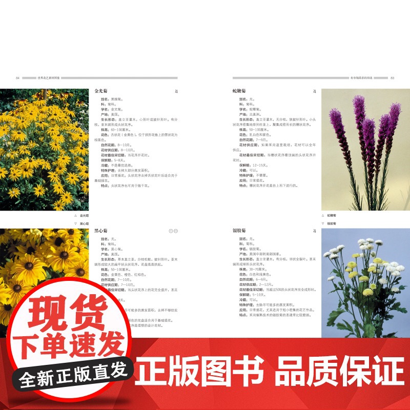 世界花艺素材图鉴 养花种花必备 国际通行植材应用手册 花店人必备手册 德国职业学校经典教材 北京科学技术高清大图