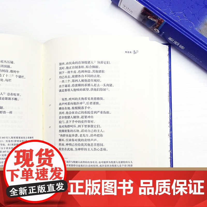 经典译林:奥德赛(精装)荷马史诗世界名著 学生拓展阅读课外书外国经典文学 古希腊英雄史诗木马计伊利亚特 译林出版社正版书高清大图