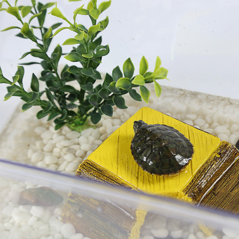 诺摩 手提式方形塑料乌龟缸鱼缸爬虫蜘蛛螃蟹小蝌蚪金鱼饲养盒高清大图