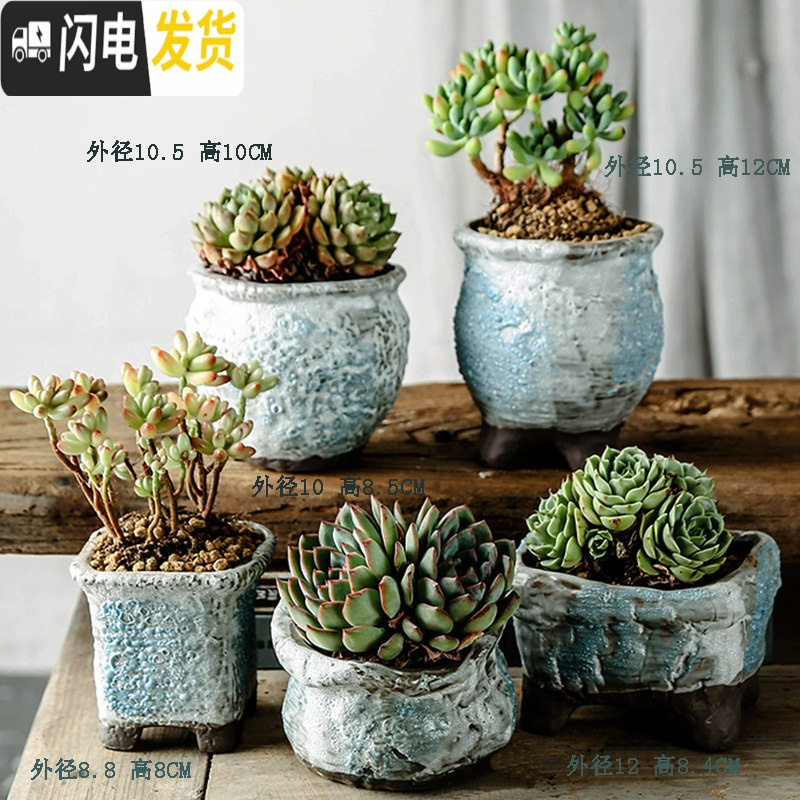 三维工匠多肉花盆陶瓷特价清仓粗陶透气复古老桩肉肉创意小盆批发新套装二十一中等花盆容器图片 高清实拍大图 苏宁易购 三维工匠多肉花盆陶瓷特价清仓粗陶透气复古老桩肉肉创意小盆批发新套装二十一中等花盆容器图片 高清实拍大图 苏宁易购