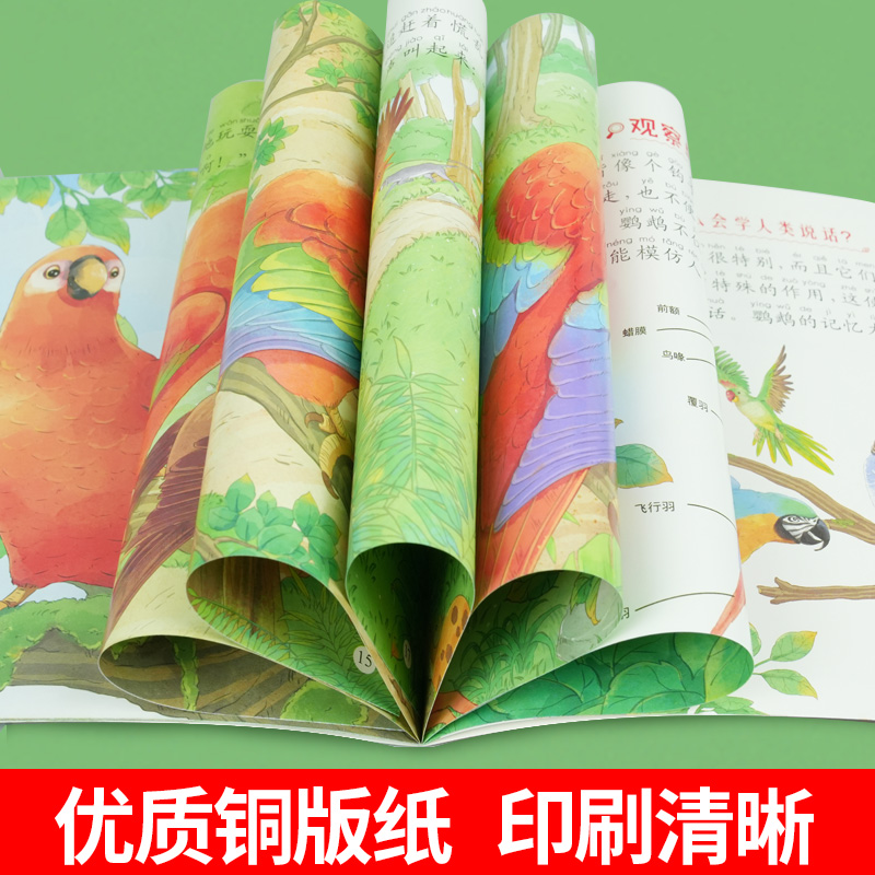 [10本240页]科普二 [正版]绘本3一4一6岁幼儿园阅读小中大班儿童故事书幼儿绘本0到3岁新一年级必读书籍1-2-6高清大图