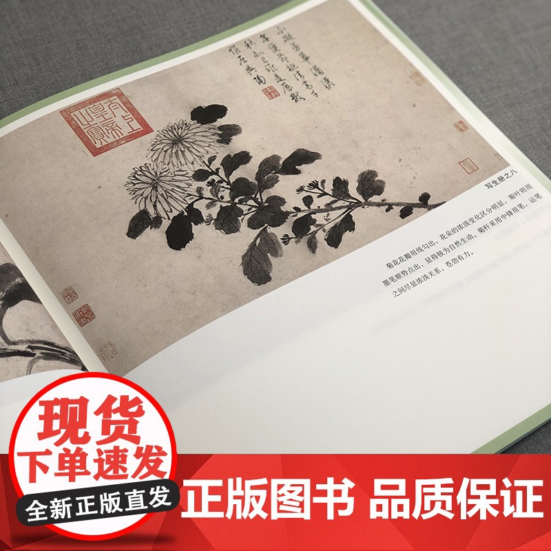 沈周花鸟山水画谱 新版 名家课徒稿临本 沈周中国水墨花鸟花卉动物山水画集作品集 吴中山水图册 上海人民美术出版社高清大图