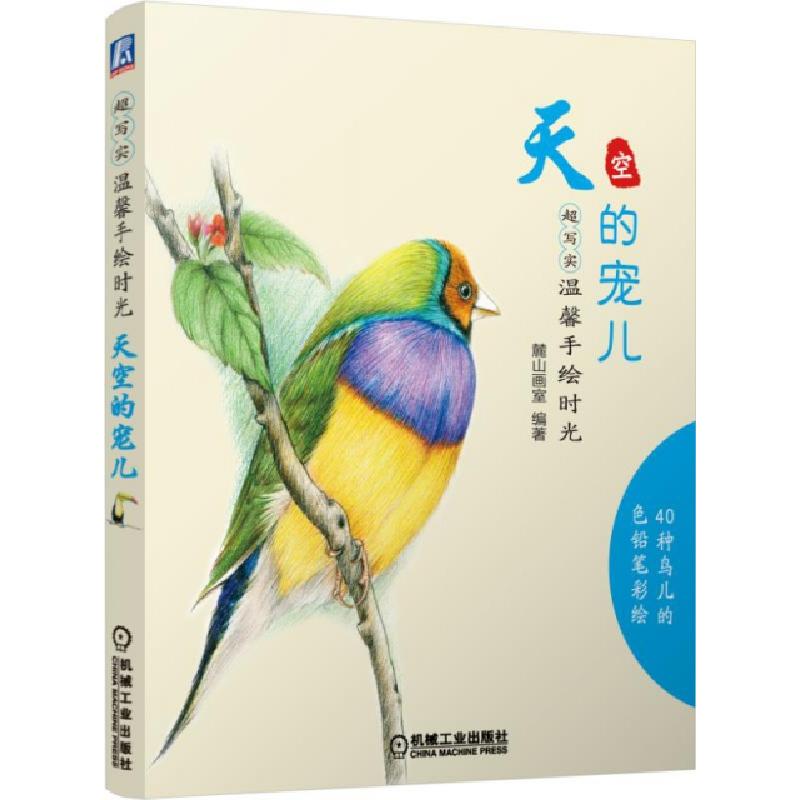 正版新书】天空的宠儿(超写实温馨手绘时光)麓山画室978711148576