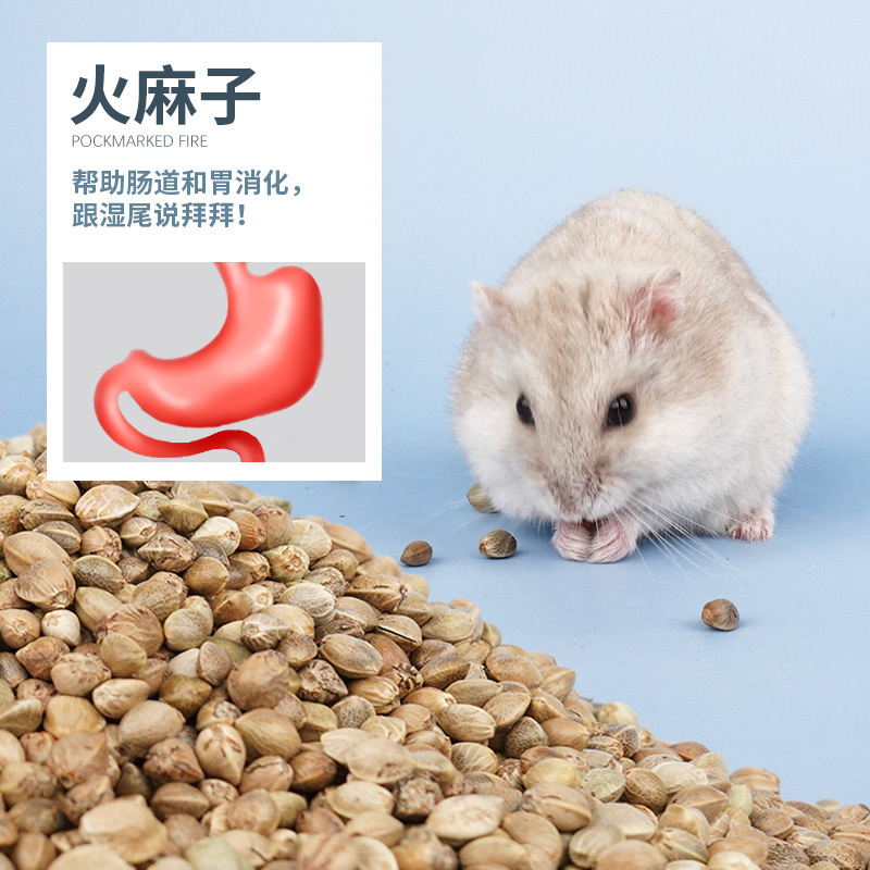 仓鼠粮食主粮用品饲料零食营养五谷套餐齐全金丝熊粮鼠粮食物5斤高清大图