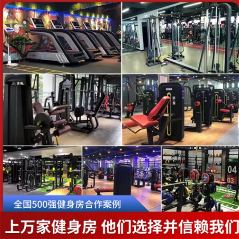 舜灏 分动式划艇拉背训练器 SH-HM014高清大图