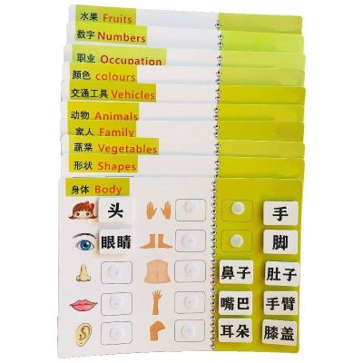 幼儿园童宝宝识字卡粘贴卡套装教材认字安静书成品家庭早教启蒙 体验中文版 20汉字 2大主题