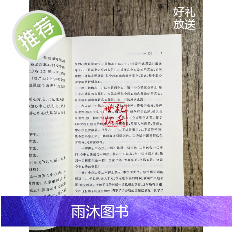 正版 顿悟入道心要:灵岩说法 常济乘一著 宗教文化出版社高清大图