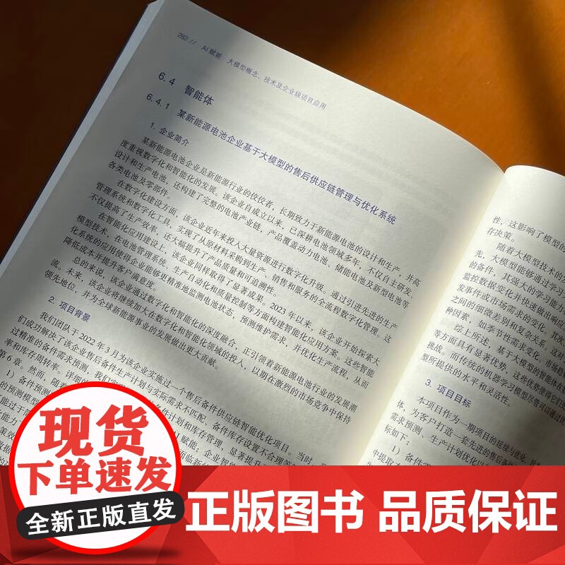 AI赋能 大模型概念 技术及企业级项目应用 deepseek教程 张建伟 著 计算机与互联网高清大图