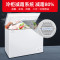 星星(XINGX)BD/BC-300JKE家用商用大容量冷藏冷冻转换单温卧式冰柜厨房商用保鲜设备微霜预涂内胆冰柜