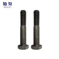 铂灳 六角头螺栓-C级 M12*80 个