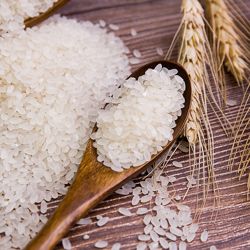 裕道府有机长粒香米大米500g2021年秋收新米一级大米