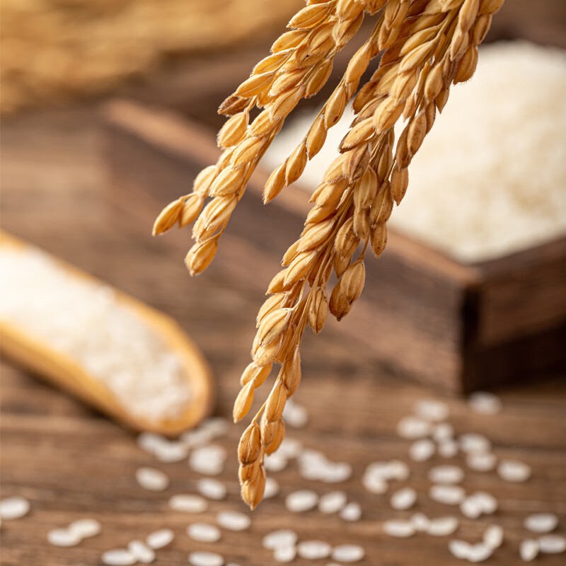 米妹妹五常稻花香大米 (精选) 2.5kg高清大图