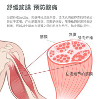 舒华筋膜枪肌肉筋膜放松枪放松器筋摩枪健身颈膜锤腿部深层震动按摩枪舒华-M1703
