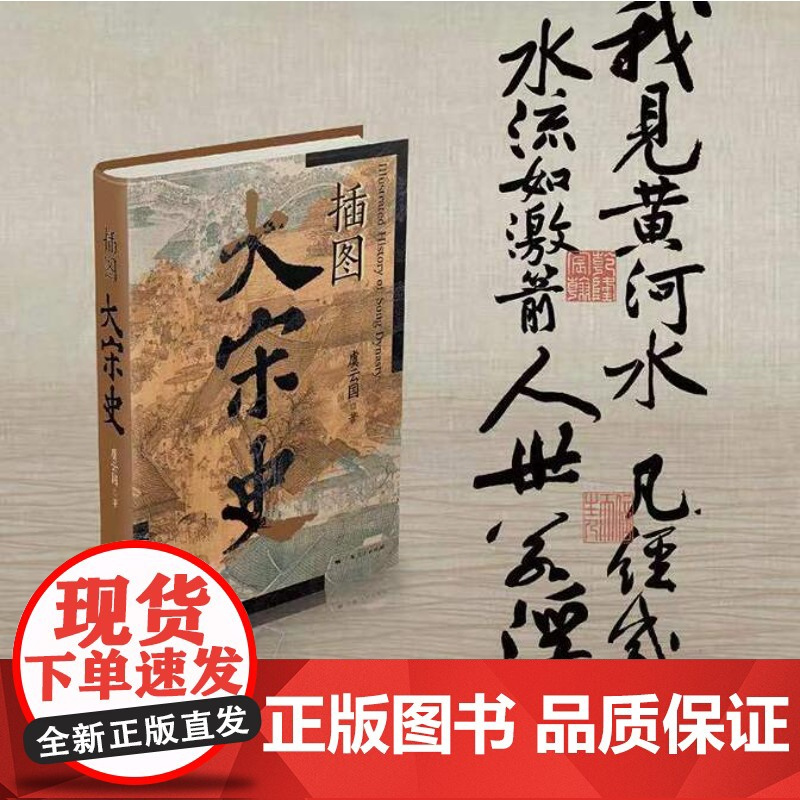 正版插图大宋史上海人民出版社虞云国著中国史宋辽金元史中国通史历史普及读物中国史历史随笔历史知识读物中国历史类书籍历史书籍