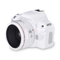 佳能(Canon)EOS 200D II代单反相机18-55 STM+YN 50/1.8人像定焦双镜头套装 白色礼包版