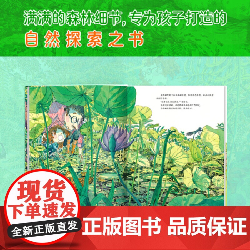 森林浴高清大图