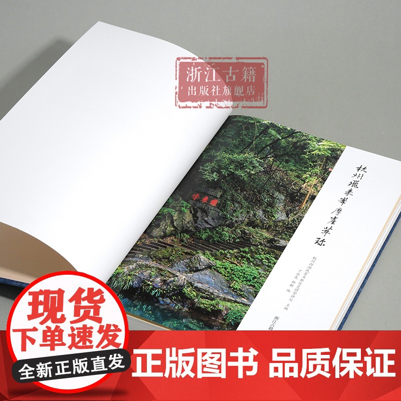杭州飞来峰摩崖萃珍 杭州西湖风景名胜区灵隐管理处 主编 飞来峰现存摩崖石刻最新的系统性、集理性成果 历史建筑和非遗文化研高清大图