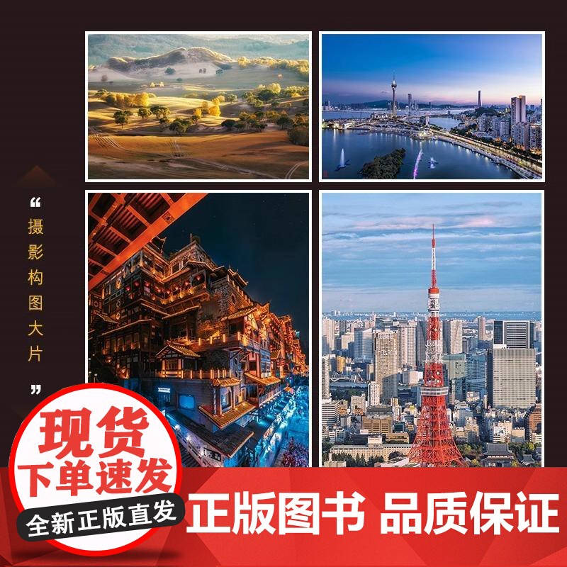 摄影构图零基础入门教程 摄影构图艺术拍摄技巧教程数码单反摄影构图教程摄影入门几何透视对比人物构图与美姿势摄影书籍高清大图