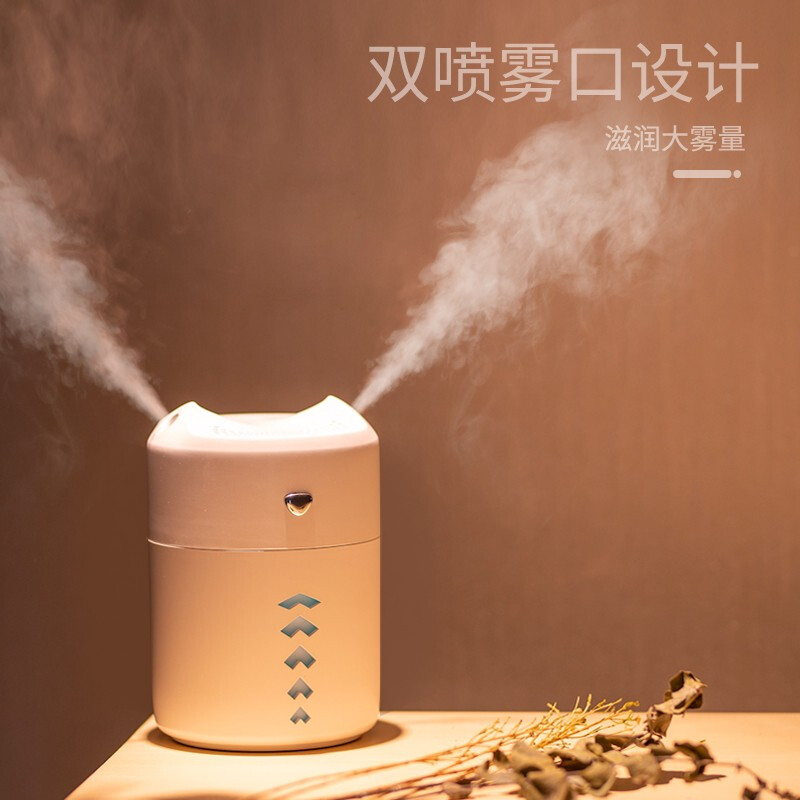 林檎公司年会礼品实用活动小礼品同学聚会周年庆纪念品定制送客户员工迷你加湿器感恩节生日刻字女 粉色