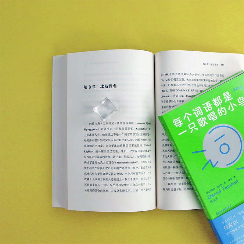 [正版]出版公司直发 每个词语都是一只歌唱的小鸟 自闭症语言奇遇记 词语文学学习记忆 语言学习方法文化 励志交流社科语言高清大图