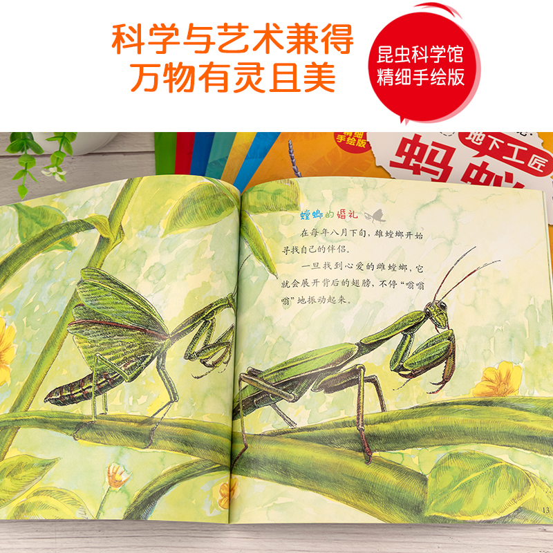 [醉染正版]中国版的法布尔昆虫记全套8册正版幼儿园绘本阅读儿童3-6岁小班中班大班昆虫系列漫画版故事书昆虫百科全书6-9高清大图