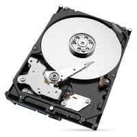希捷（SEAGATE） 酷鱼系列 2TB 5400转256MB SATA3 台式机机械硬盘(ST2000DM005)