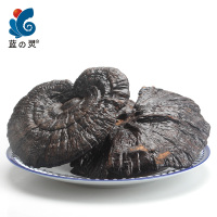 蓝之灵紫灵芝100g/盒可自行打粉 煲汤泡酒 滋补