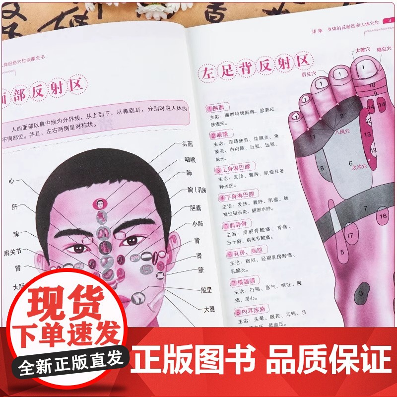 正版 人体经络穴位按摩全书 张振 编 多种常见病对症穴位中医按摩疗法 日常养生按摩保健原理基本手法工具 中医古籍出版社高清大图