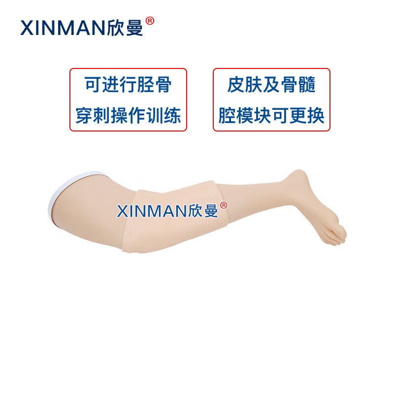 欣曼科教 胫骨穿刺模拟训练模块 骨髓腔穿刺输液训练模型XM-GC4高清大图