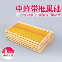 蜂巢框中蜂成品巢框 巢脾 意蜂带框巢础杉木巢框蜂箱专用养蜂工具 中蜂成品巢框(5个装)
