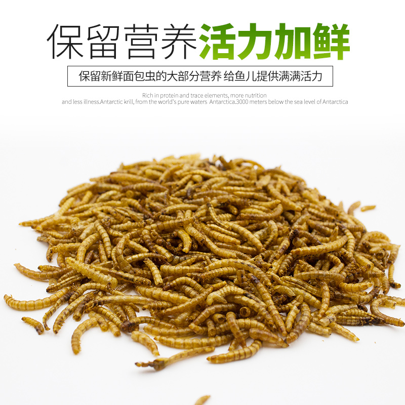 面包虫干粉虫血鹦鹉罗汉鱼粮龙鱼乌龟鸟主粮金丝熊刺猬仓鼠饲料高清大图