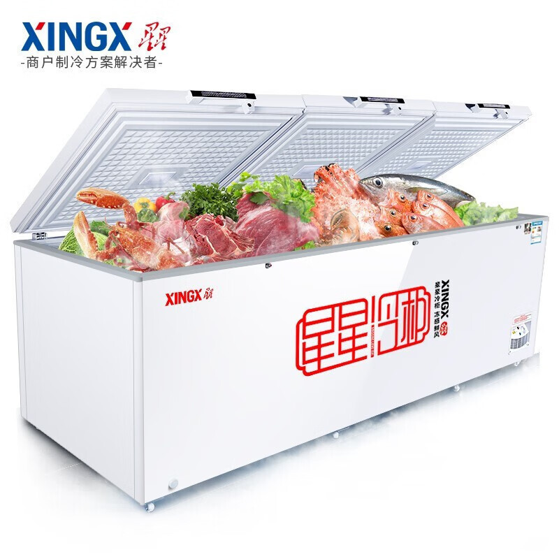 星星(XINGX)BD/BC-1388GD冰柜商用大容量全冷冻全冷藏冷柜卧式冰箱单温一级能效保鲜冷藏柜速冻柜高清大图
