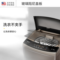 惠而浦(Whirlpool)波轮洗衣机EWVP114018G 金色 9KG 全自动家用洗衣机 洗脱一体 X9