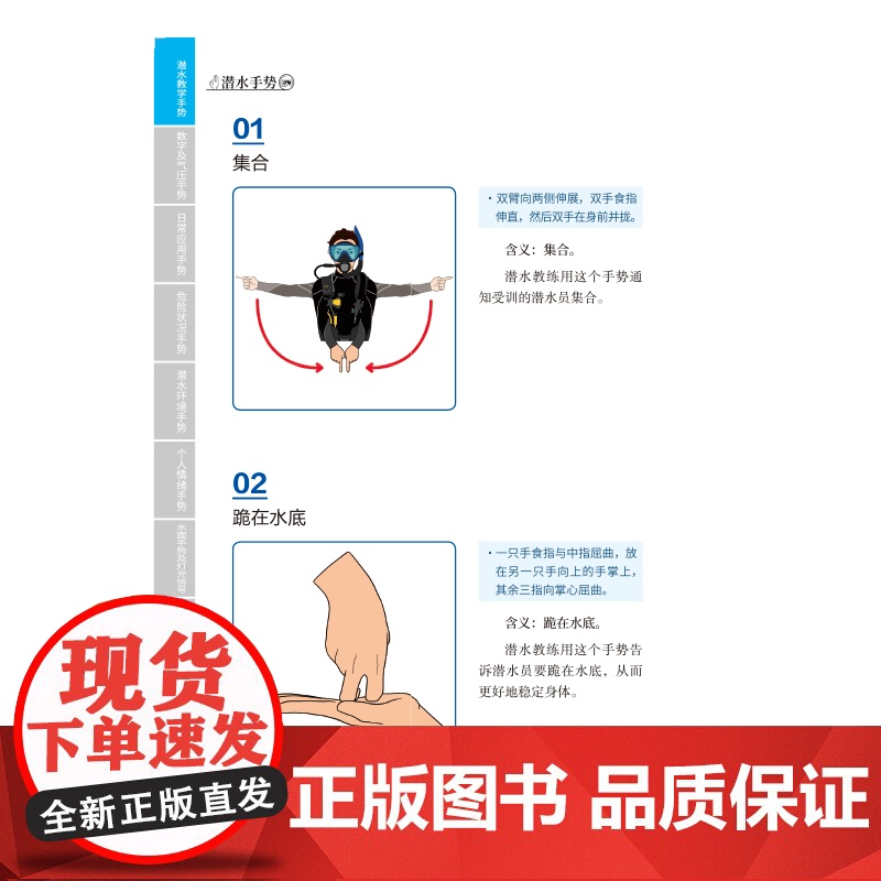 潜水手势-休闲潜水员随身口袋工具书 作者从 海洋大货 到不起眼的贝壳 整理出表示常见的70多种海洋生物的手势 对潜水员高清大图