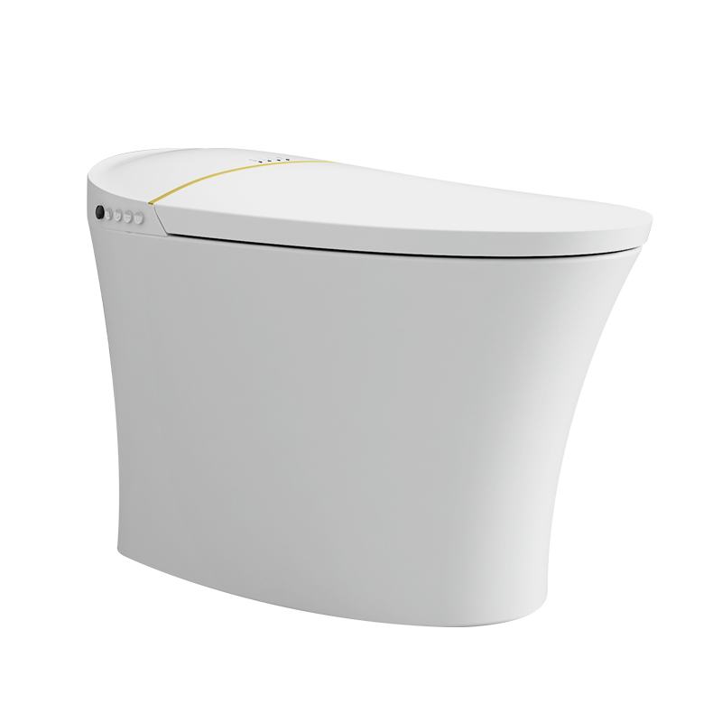 箭牌(arrow)智能马桶全自动家用一体速热式冲洗座圈加热坐便器akb1028