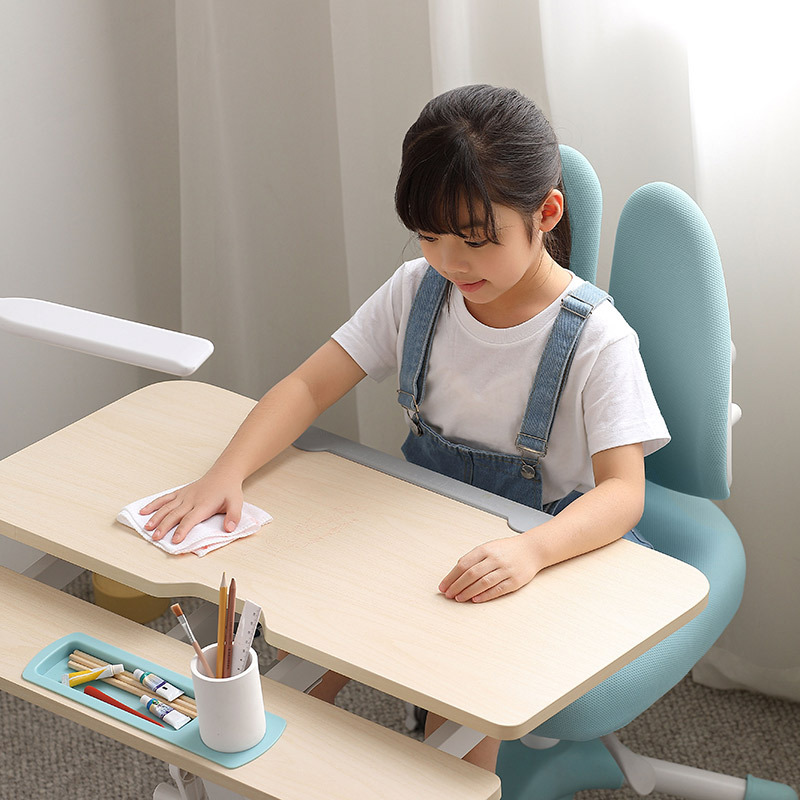林氏家居小学生儿童学习桌写作业写字桌子椅子家用可升降ls324