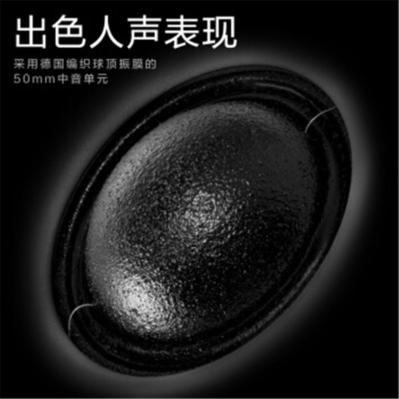 Hivi/惠威 RM600C 家庭影院中置音箱 家用客厅电视音响木质钢琴漆 AV音箱