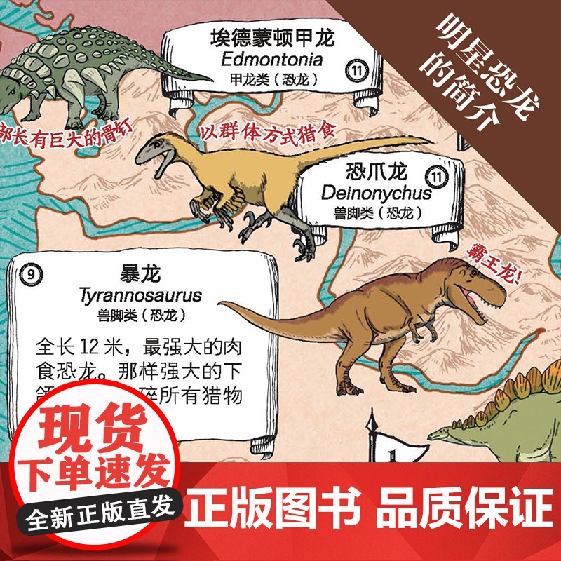 写给孩子的恐龙大百科全书2册 世界恐龙发现地图+恐龙地图 恐龙以及古生物发掘介绍 生动有趣 知识点超多侏罗纪霸王龙暴龙时高清大图
