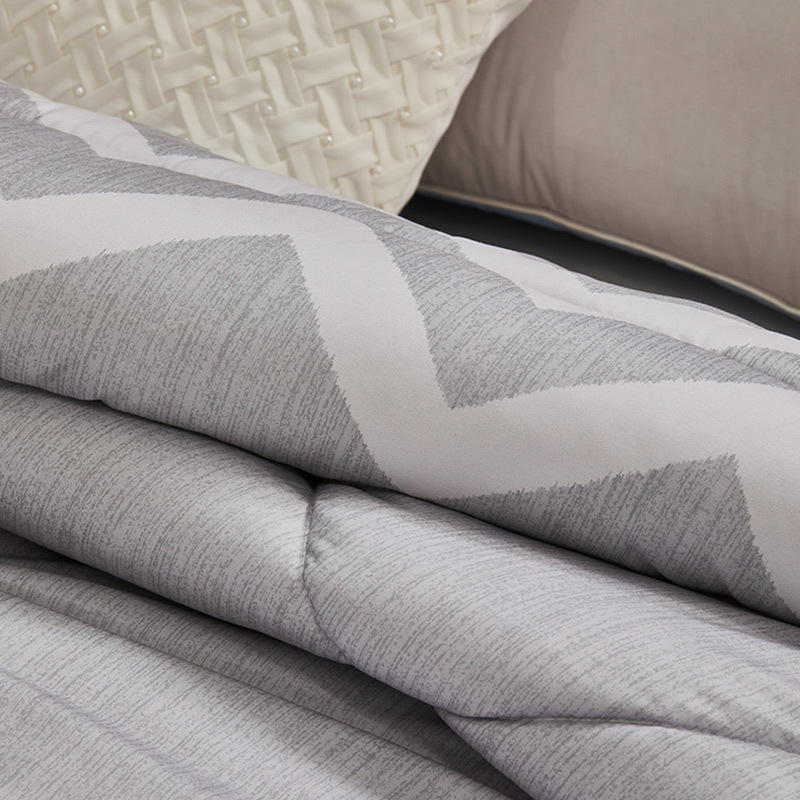 水星家纺 DH典雅负离子抗菌四季被 123009 200cm*230cm高清大图